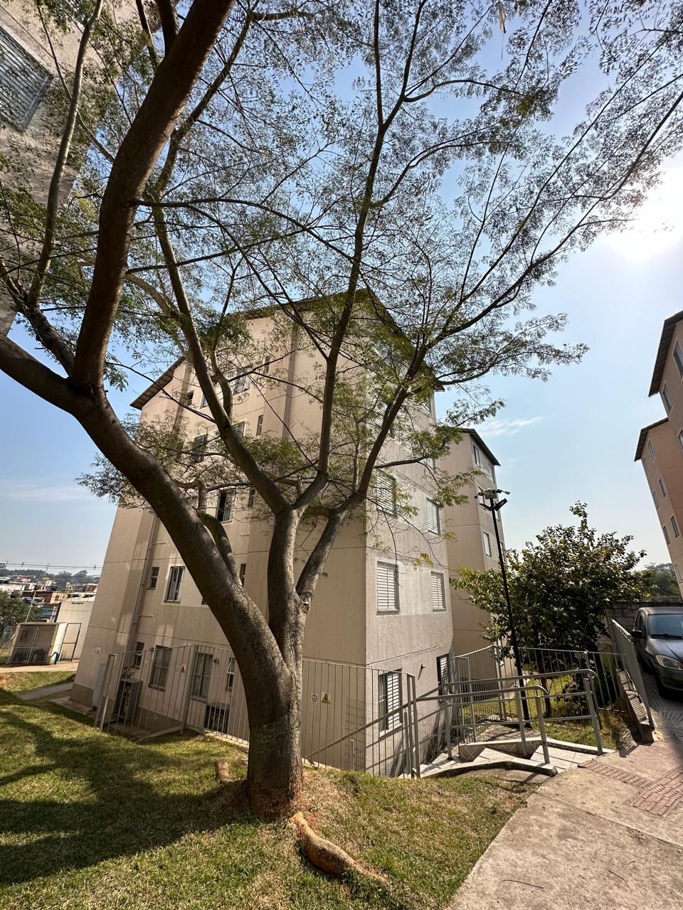 WhatsApp Image 2024-11-07 at 15.43.03