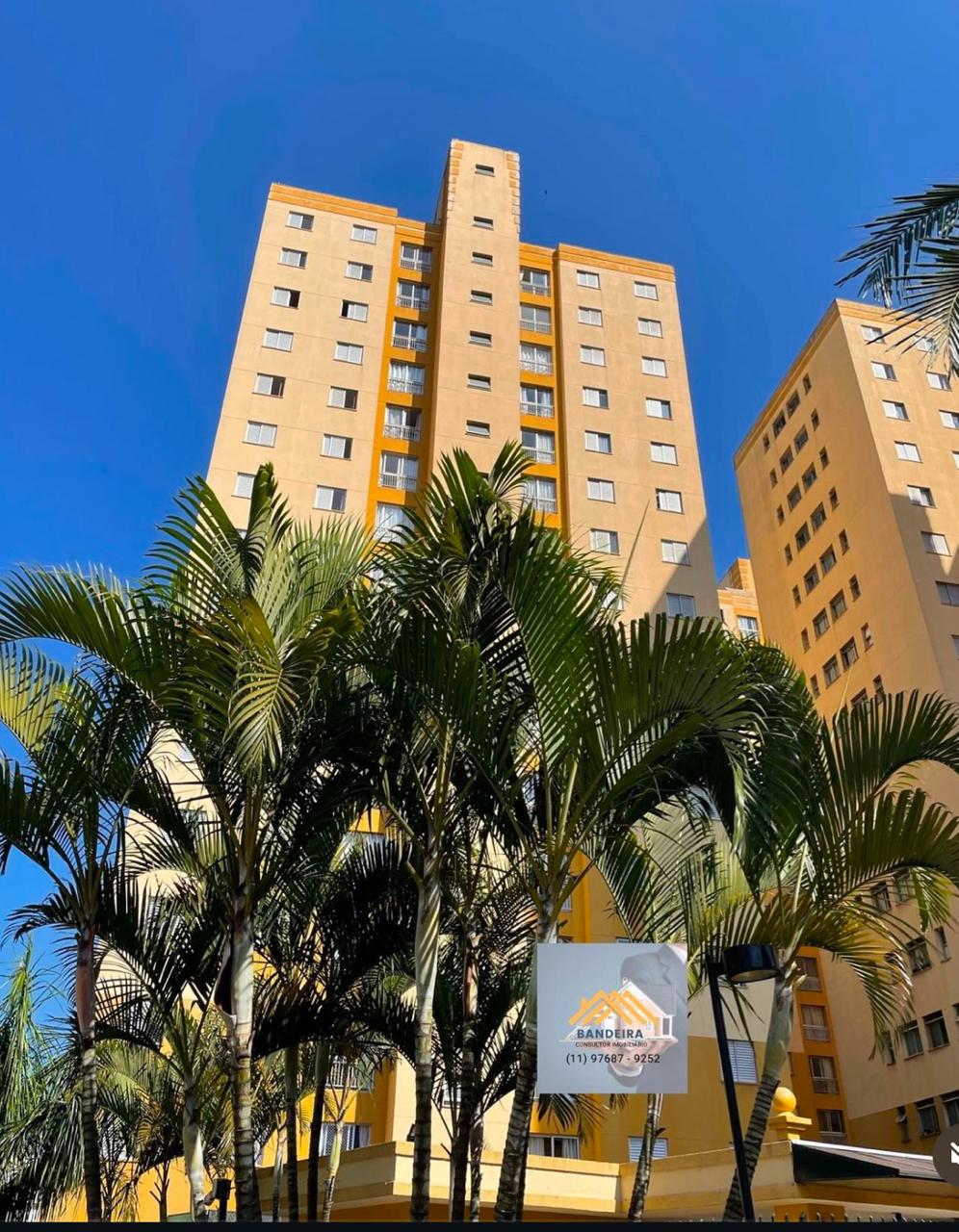 WhatsApp Image 2024-11-07 at 15.43.04 (6)