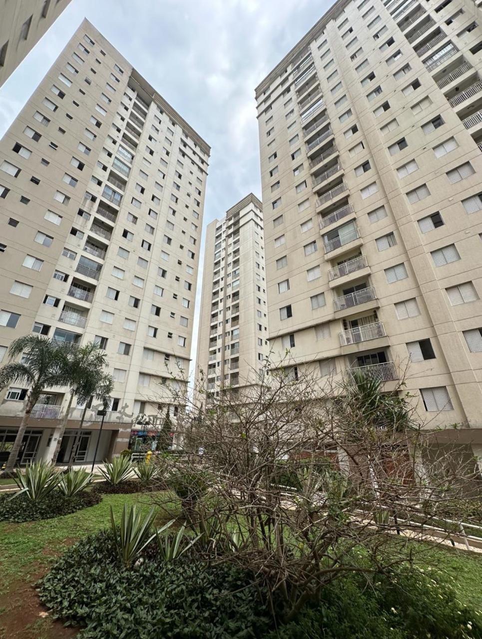 WhatsApp Image 2024-11-07 at 15.46.18